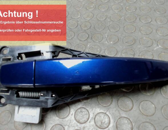 Door light bulb OPEL ZAFIRA / ZAFIRA FAMILY B (A05)