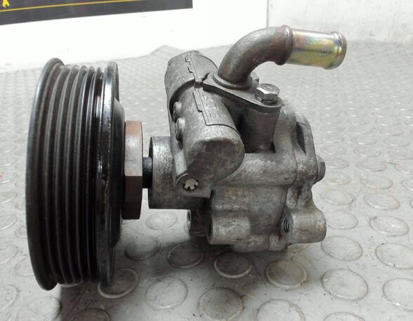 Power steering pump VW POLO (6N2)