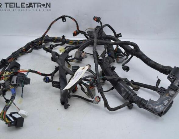 Engine Wiring Harness HYUNDAI i10 (PA)