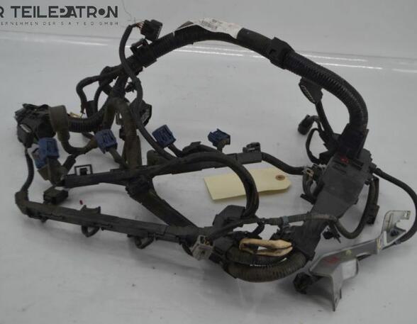 Engine Wiring Harness HONDA Civic VIII Hatchback (FK, FN), HONDA Civic IX (FK)