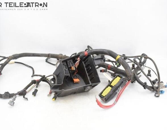 Engine Wiring Harness DACIA SANDERO