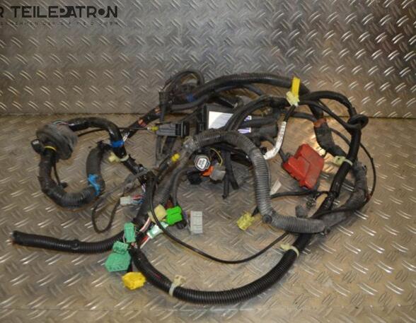 Kabelbaum Kabel Elektrik HONDA JAZZ II (GD) 1.2 57 KW