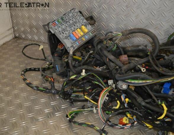 Wiring Harness FIAT 500 (312), FIAT 500 C (312)