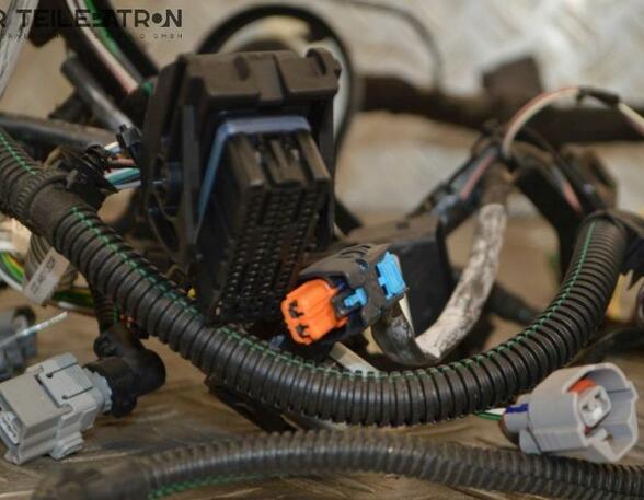 Wiring Harness RENAULT Twingo III (BCM)