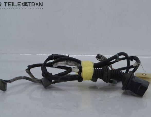 Wiring Harness HONDA Civic VIII Hatchback (FK, FN), HONDA Civic IX (FK)