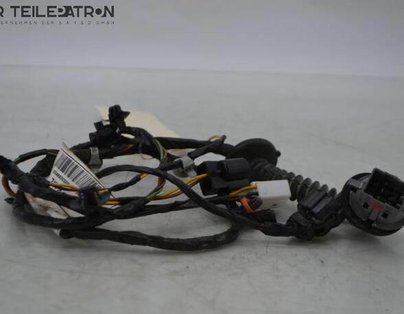 Wiring Harness HYUNDAI i10 (PA)