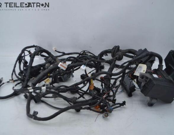 Wiring Harness HYUNDAI i10 (BA, IA)