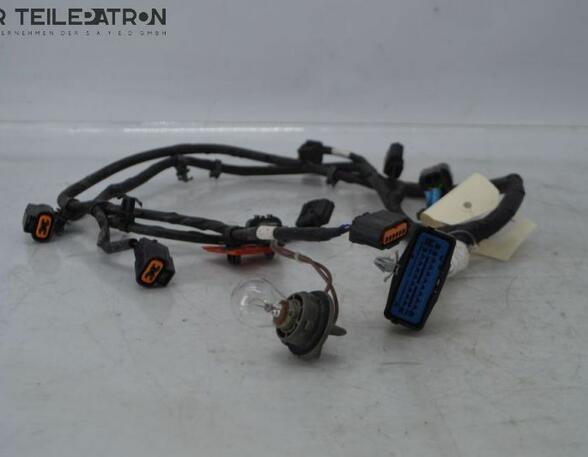 Wiring Harness HYUNDAI i10 (BA, IA)