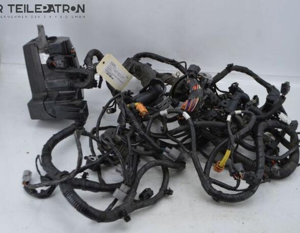 Wiring Harness HYUNDAI i10 (BA, IA)