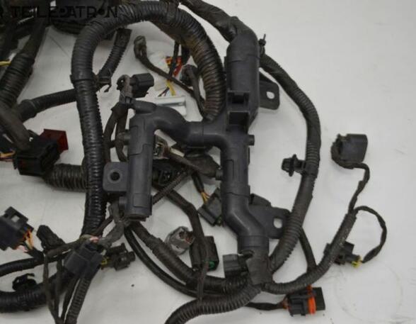 Wiring Harness HYUNDAI i10 (BA, IA)