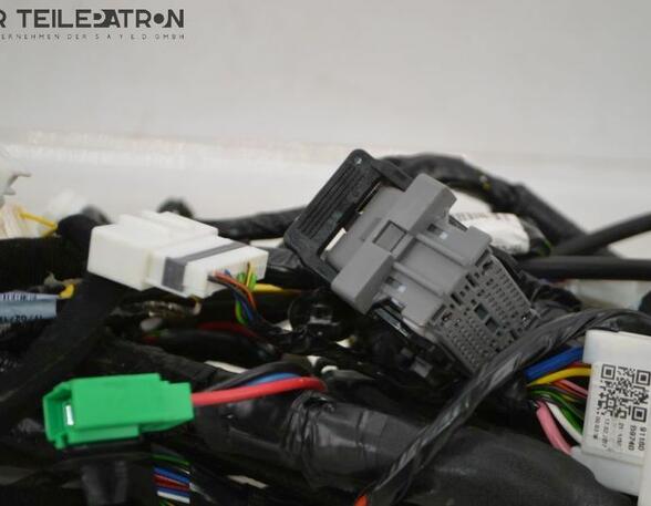 Wiring Harness HYUNDAI i10 (BA, IA)