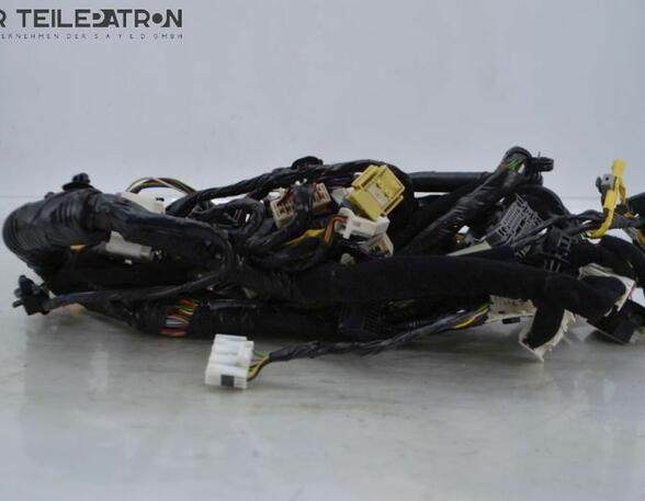 Wiring Harness HYUNDAI i10 (BA, IA)