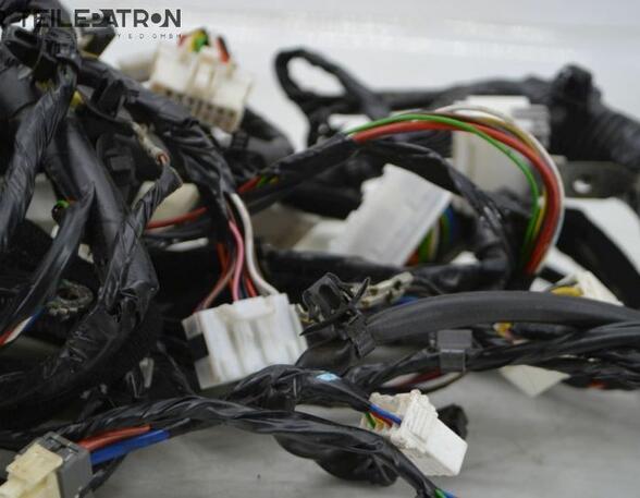 Wiring Harness HYUNDAI i10 (BA, IA)