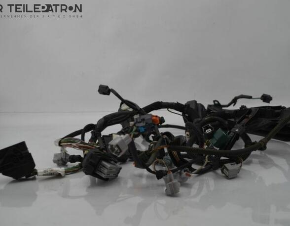 Wiring Harness RENAULT Twingo III (BCM)