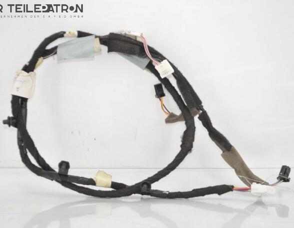 Wiring Harness RENAULT Twingo III (BCM)