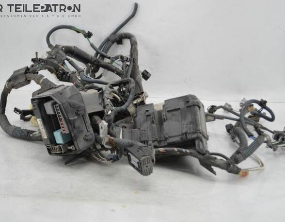 Wiring Harness TOYOTA Verso S (P12)