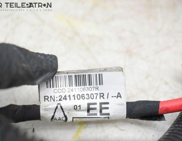 Wiring Harness RENAULT Twingo III (BCM)