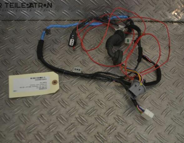 Kabel Tür Türkabelbaum Türkabelbaum Kabelbaum HYUNDAI I10 (BA  IA) 1.0 49 KW