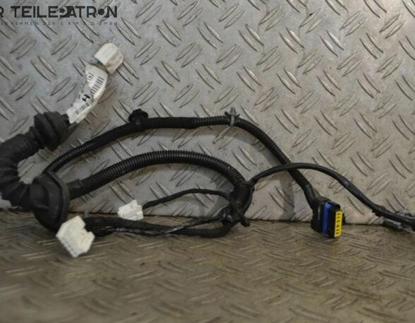 Door Wiring Harness NISSAN Qashqai +2 I (J10, JJ10E, NJ10)