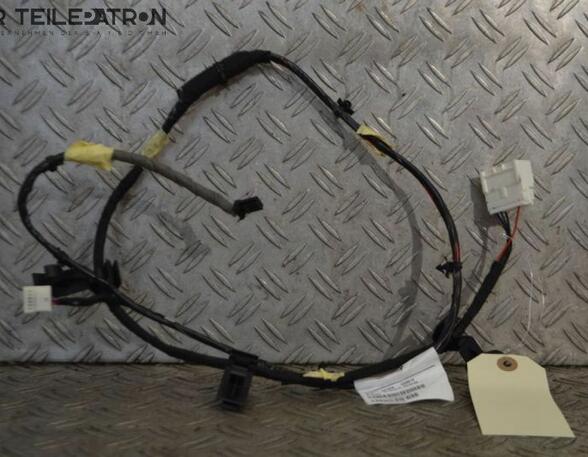 Door Wiring Harness NISSAN Qashqai +2 I (J10, JJ10E, NJ10)