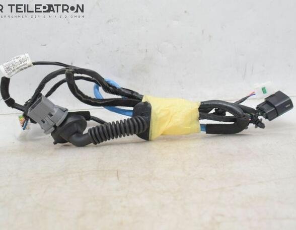 Kabel Tür Türkabelbaum Hinten Rechts HYUNDAI I10 BA IA 1.0 49 KW