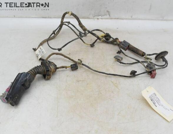 Door Wiring Harness OPEL Zafira Tourer C (P12)