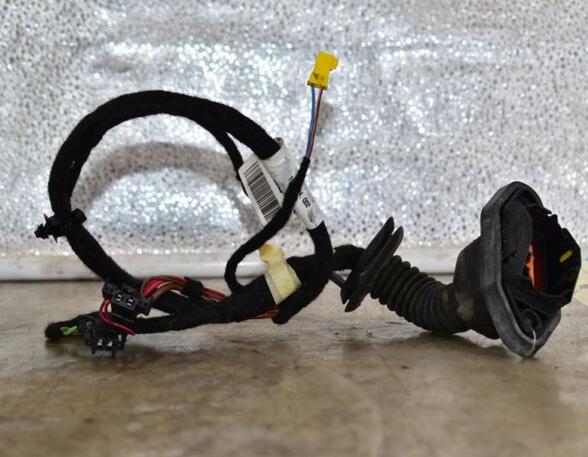 Door Wiring Harness MERCEDES-BENZ S-CLASS (W221)