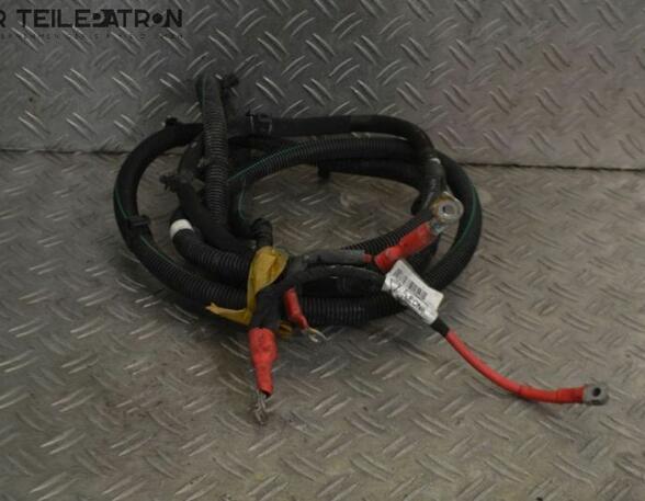 Ground (Earth) Cable RENAULT Twingo III (BCM)