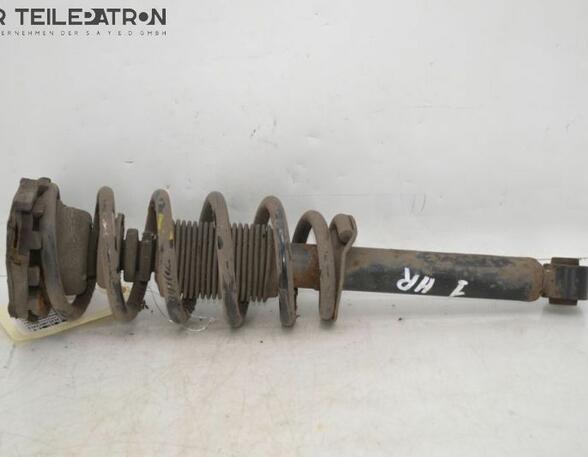 Suspension Strut NISSAN Primera Kombi (WP12)