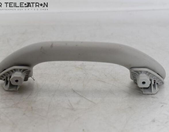 Grab Handle VW GOLF PLUS (5M1, 521)