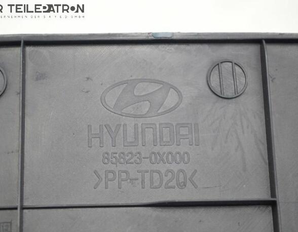 Door Card (Door Panel) HYUNDAI i10 (PA)