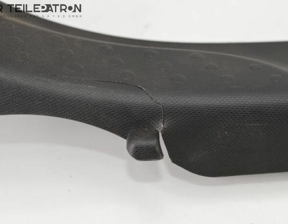 Door Sill RENAULT Twingo III (BCM)