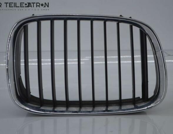 Radiator Grille BMW 5er (E39)