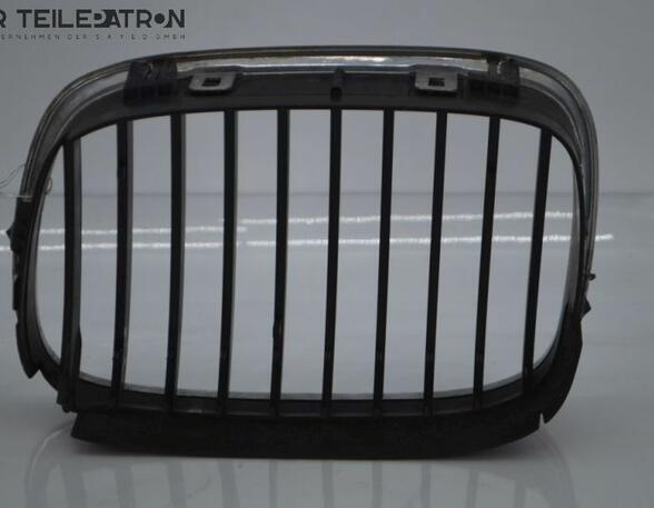 Radiator Grille BMW 5er (E39)