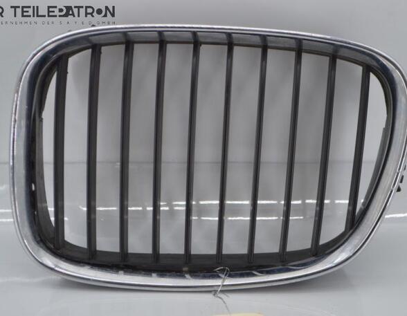 Radiator Grille BMW 5 (E39)