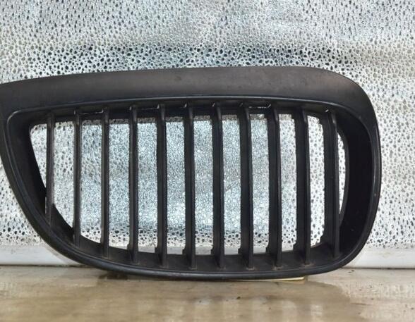 Radiator Grille BMW 1 (E81), BMW 1 (E87)