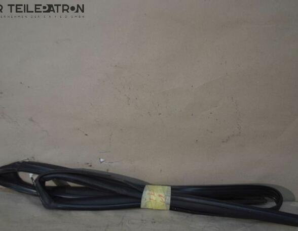 Door Seal HYUNDAI i30 Coupe (--), HYUNDAI i30 (GD)