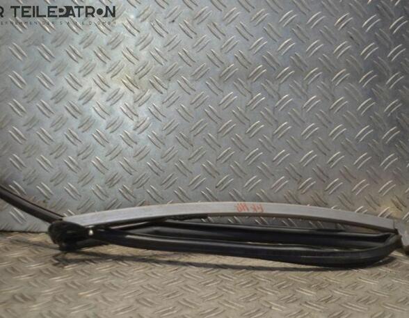 Door Seal HONDA Civic VIII Hatchback (FK, FN), HONDA Civic IX (FK)