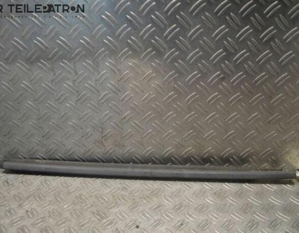 Door Seal HYUNDAI i10 (PA)