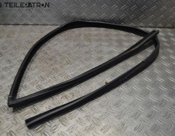 Door Seal HYUNDAI i10 (PA)