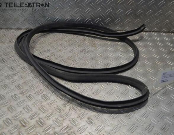 Door Seal HYUNDAI i10 (PA)