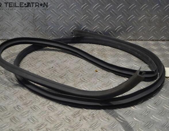 Door Seal HYUNDAI i10 (PA)