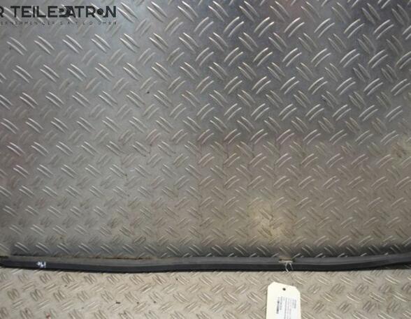 Door Seal HYUNDAI i10 (PA)