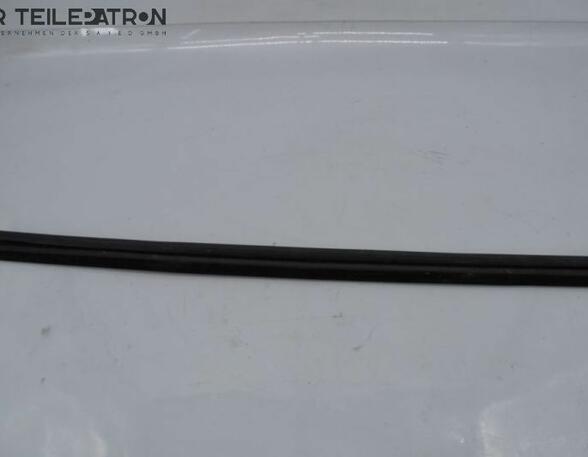 Door Seal RENAULT Twingo III (BCM)