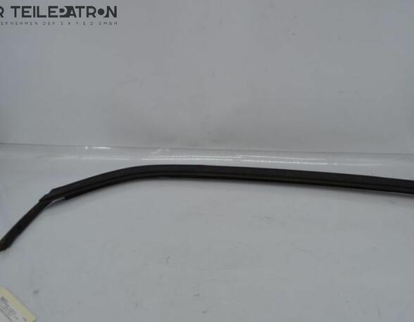 Door Seal RENAULT Twingo III (BCM)