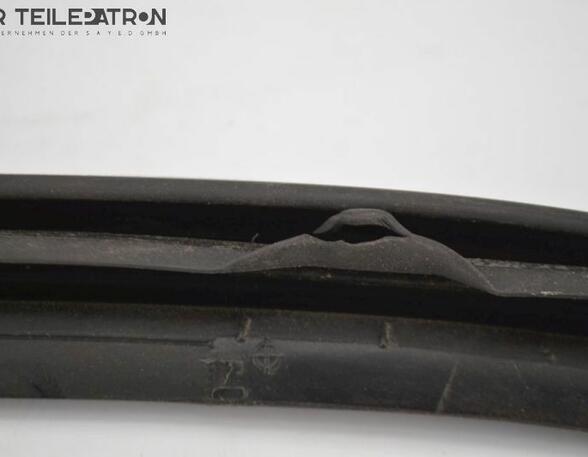 Door Seal RENAULT Twingo III (BCM)