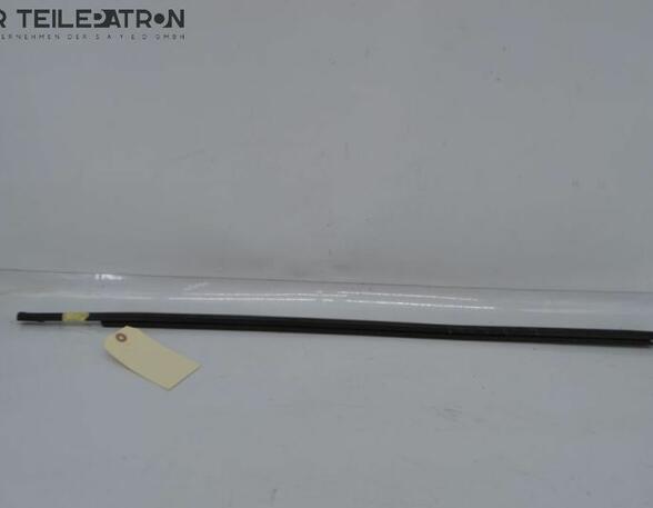 Door Seal RENAULT Twingo III (BCM)