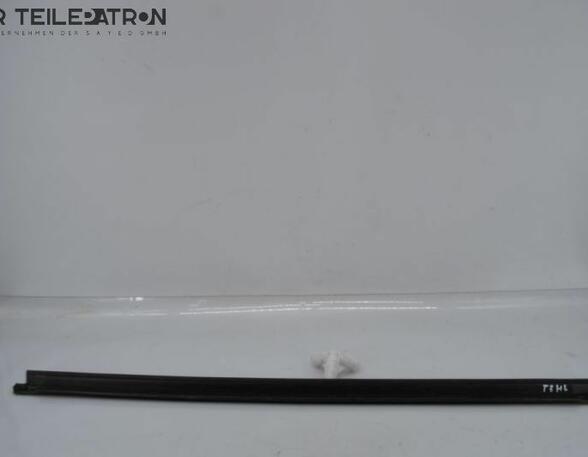 Door Seal RENAULT Twingo III (BCM)