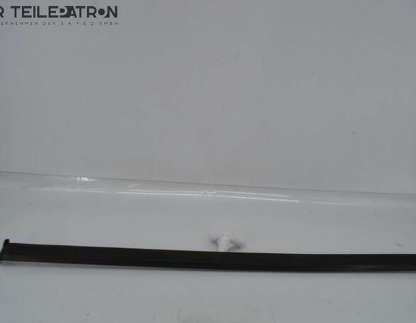 Door Seal RENAULT Twingo III (BCM)