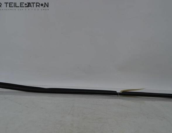 Door Seal HYUNDAI i10 (PA)